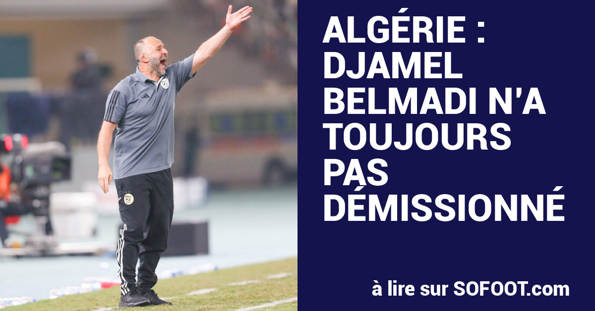 Algérie : Djamel Belmadi n'a toujours pas démissionné - International -  Algérie - SO FOOT.com